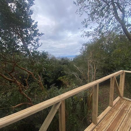 Bordemundo B&B Y Cabanas Puerto Varas Eksteriør billede