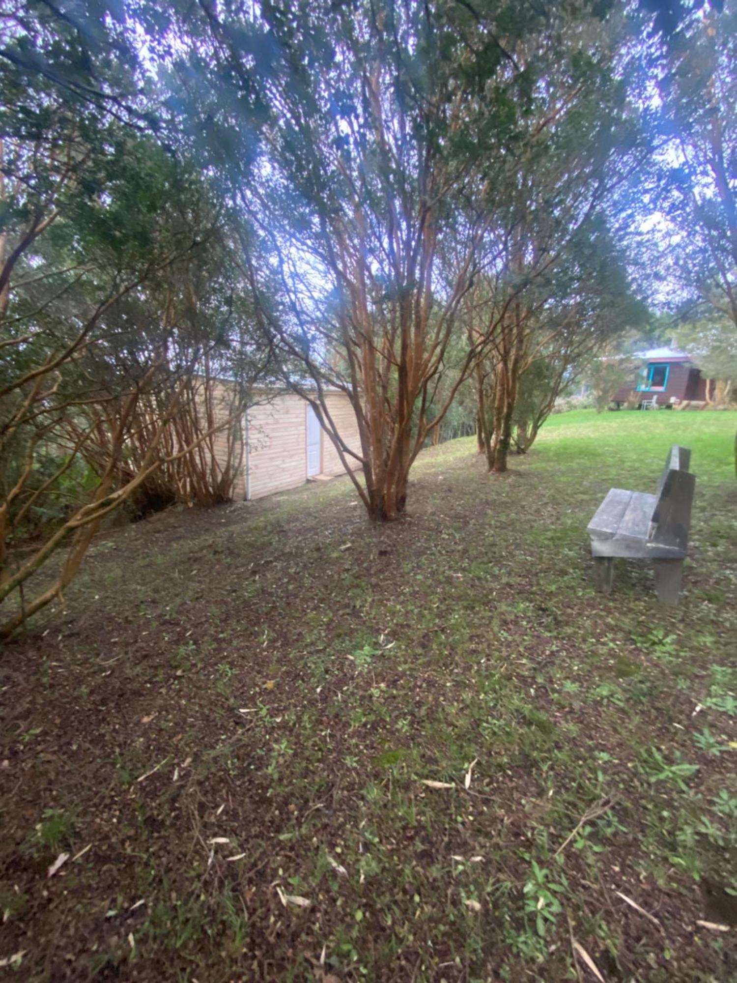 Bordemundo B&B Y Cabanas Puerto Varas Eksteriør billede